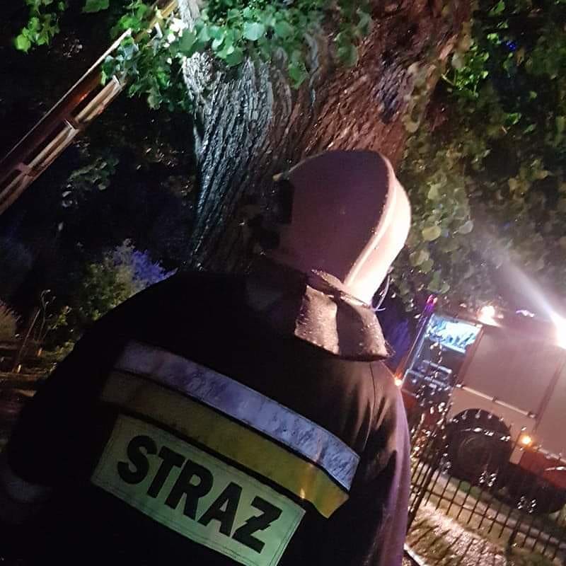 Pożar drzewa - OSP Swieriawa