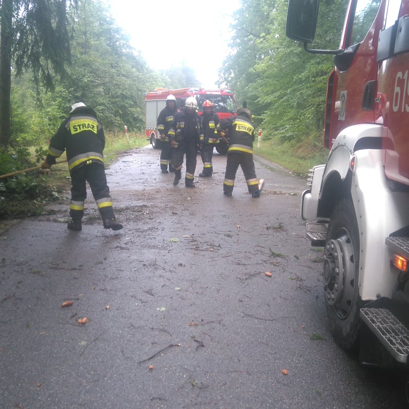 Drzewo na ulicy - OSP Swieriawa