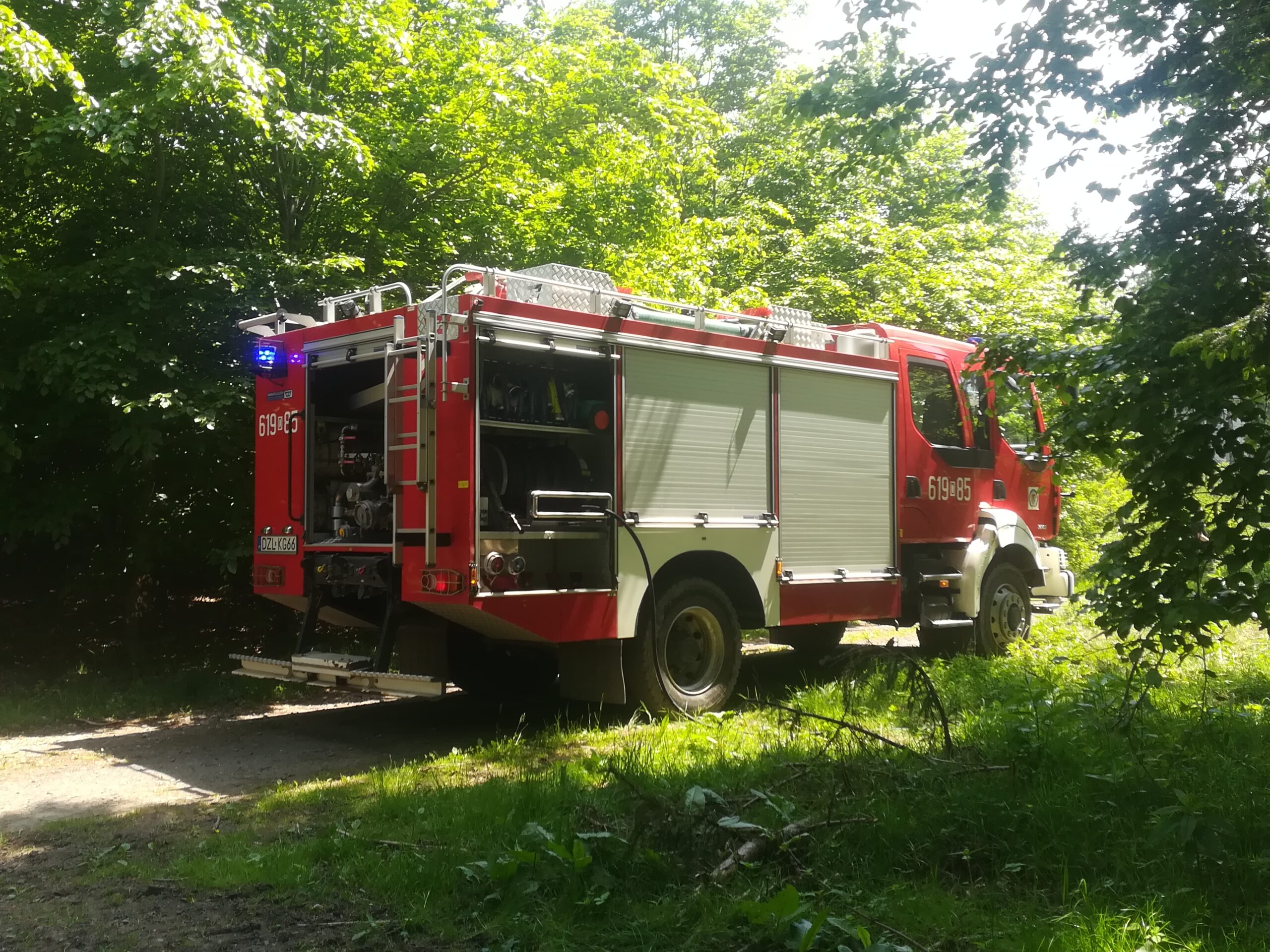 Niedogaszone ognisko w lesie - OSP Swieriawa