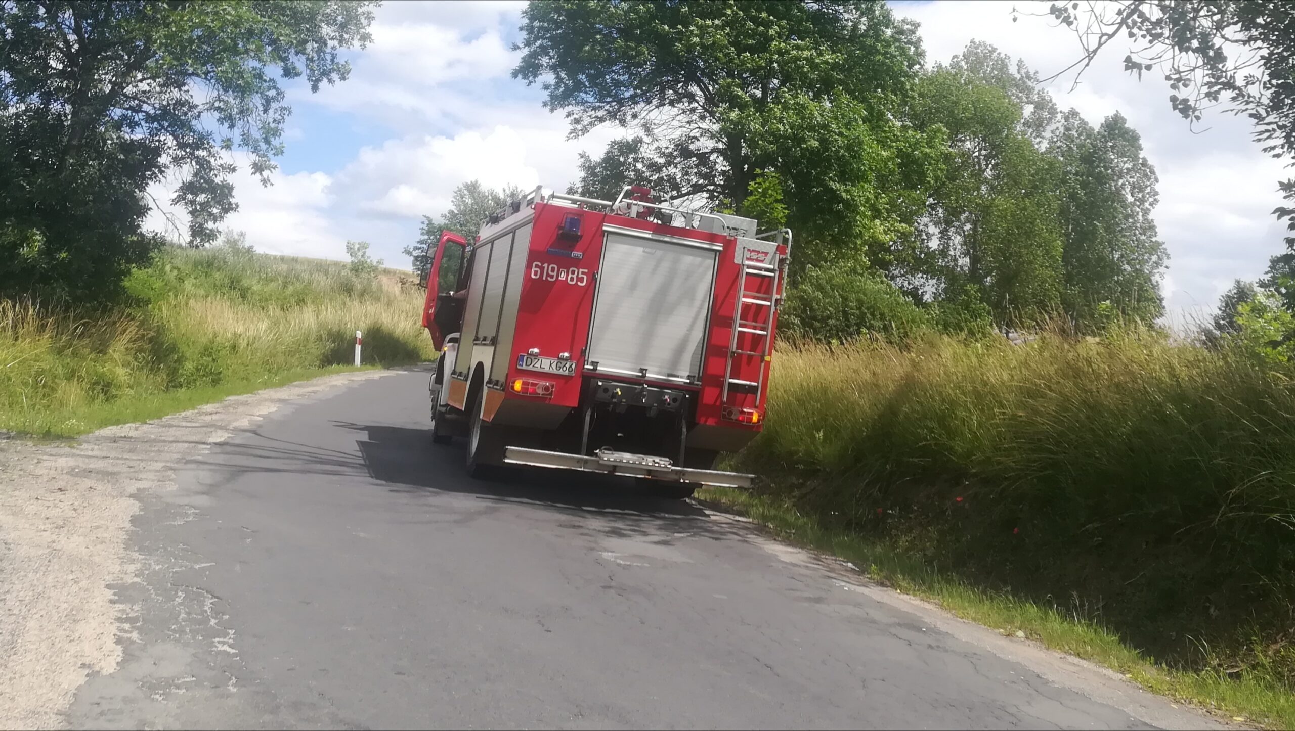 Zwisający konar drzewa nad drogą - OSP Swieriawa