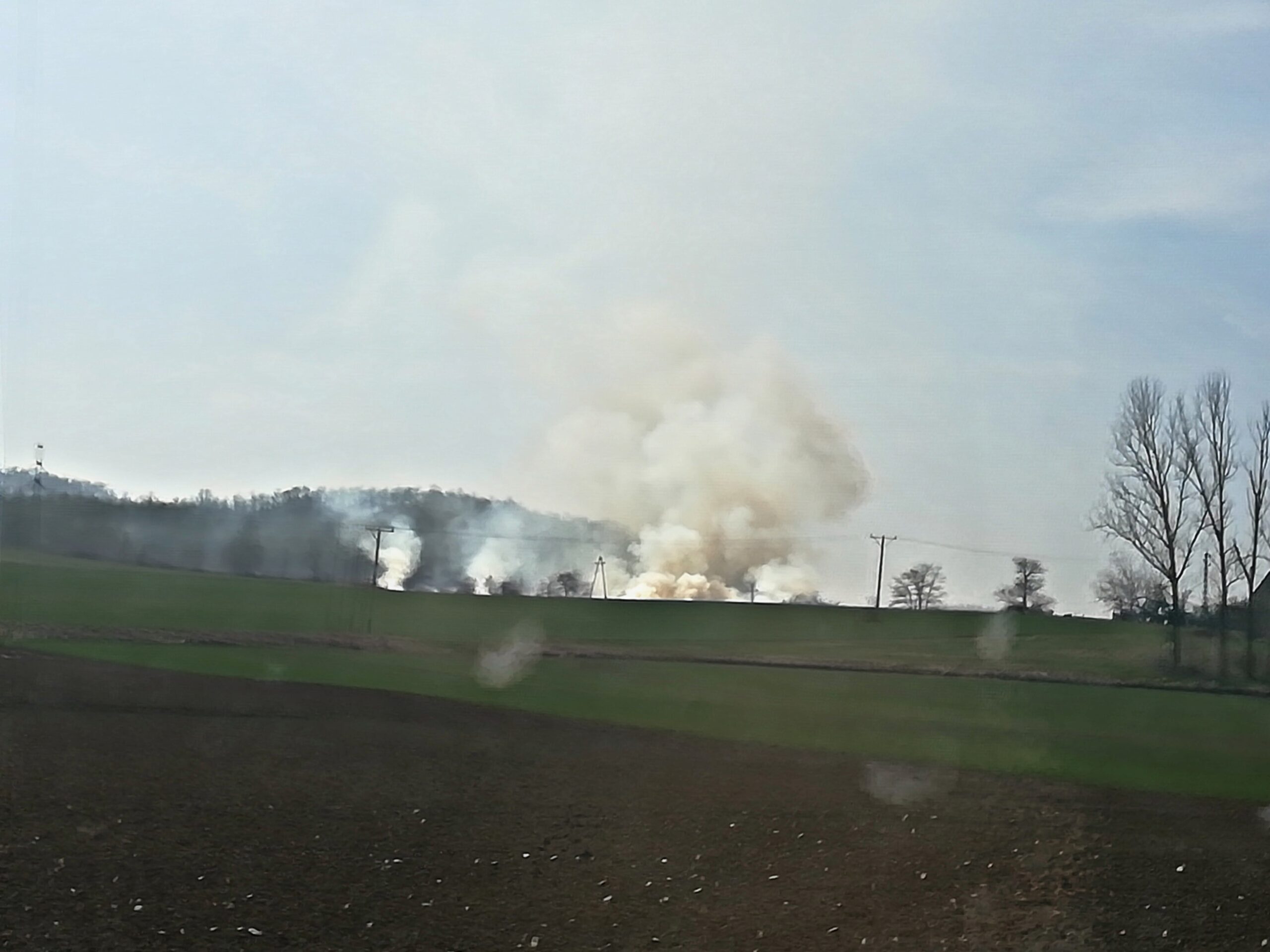 Pożar trawy - OSP Swieriawa