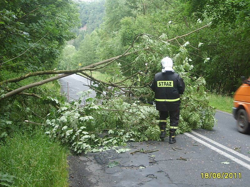 DRZEWO NA JEZDNI - OSP Swieriawa