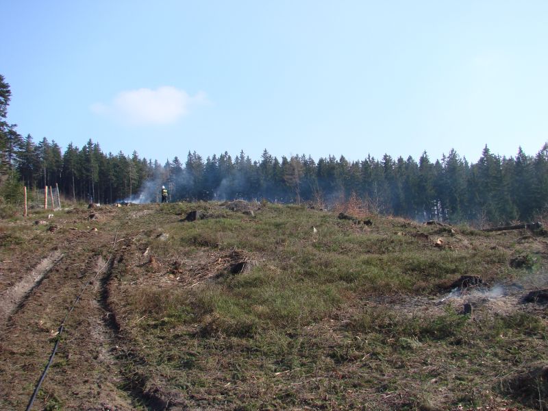 POŻAR W LESIE - OSP Swieriawa