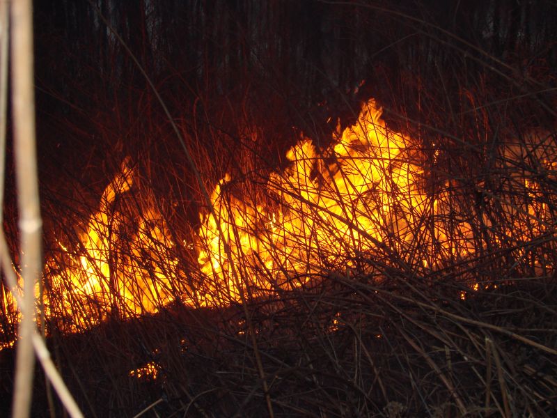 POŻAR TRAW - OSP Swieriawa
