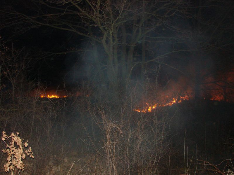 POŻAR TRAW - OSP Swieriawa