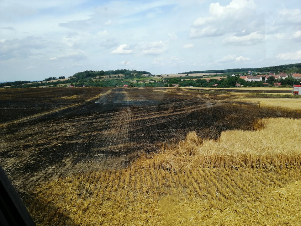 Pożar ścierniska i zboża - OSP Swieriawa