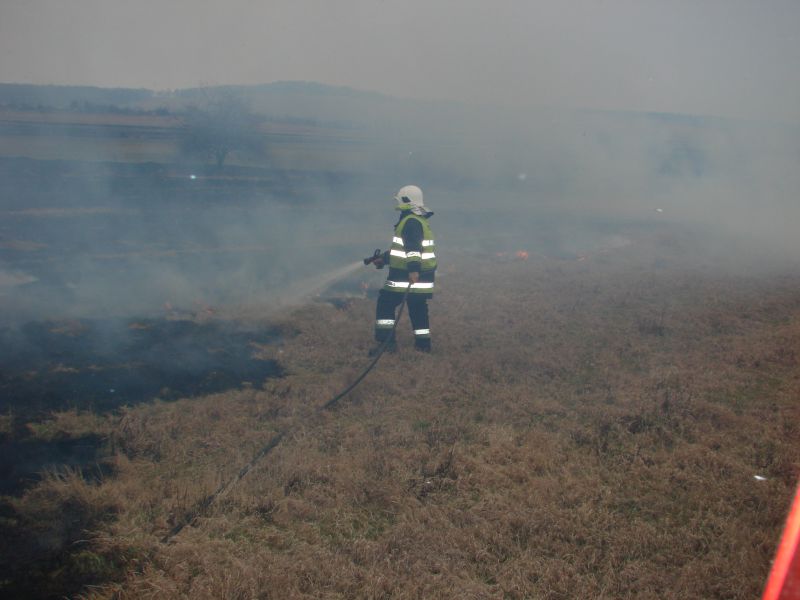 WILKÓW - TRAWY - OSP Swieriawa