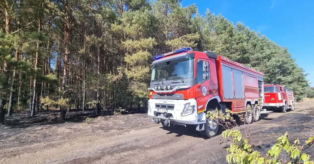Pożar lasu w Różyńcu  - OSP Swieriawa