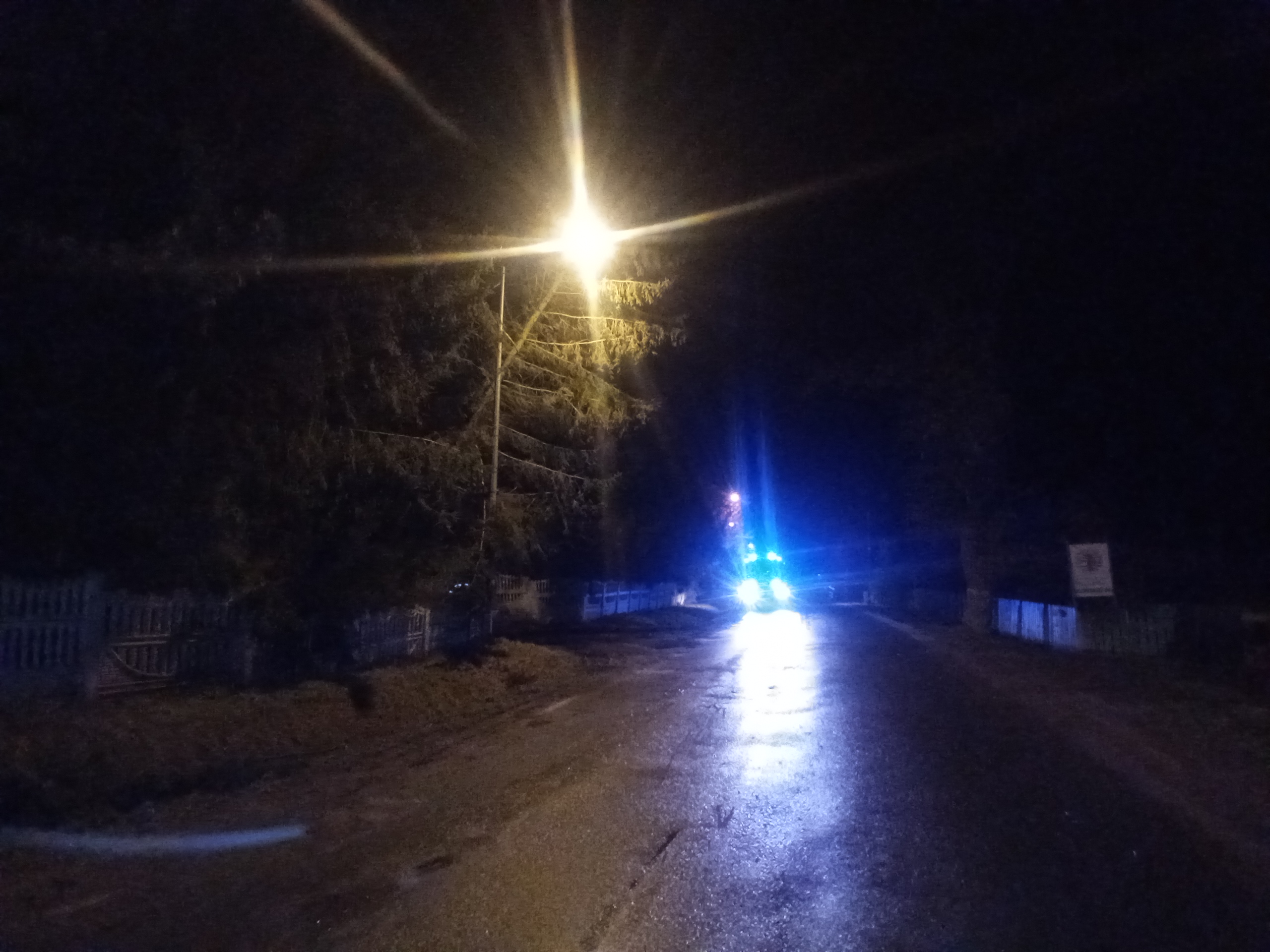 Pochylone drzewo nad drogą - OSP Swieriawa