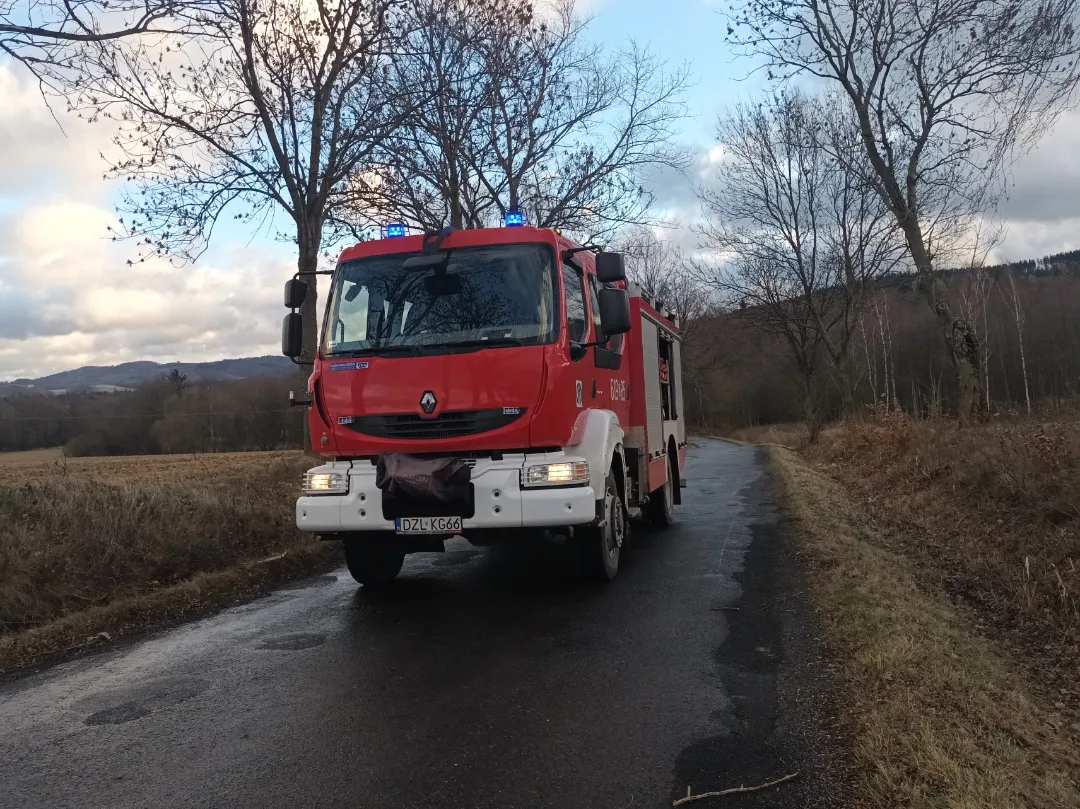 Kolejne drzewo na drodze  - OSP Swieriawa