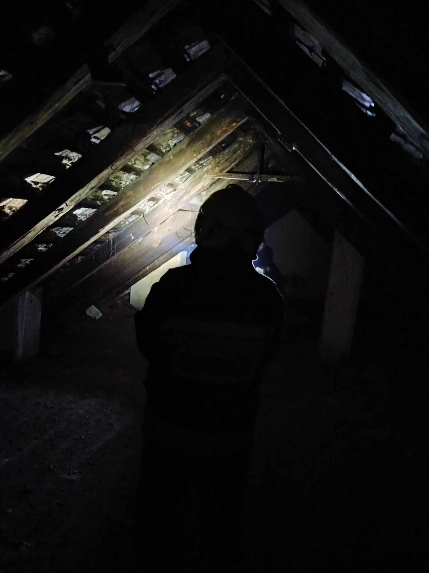 2x miejscowe zagrożenie oraz pożar - OSP Swieriawa