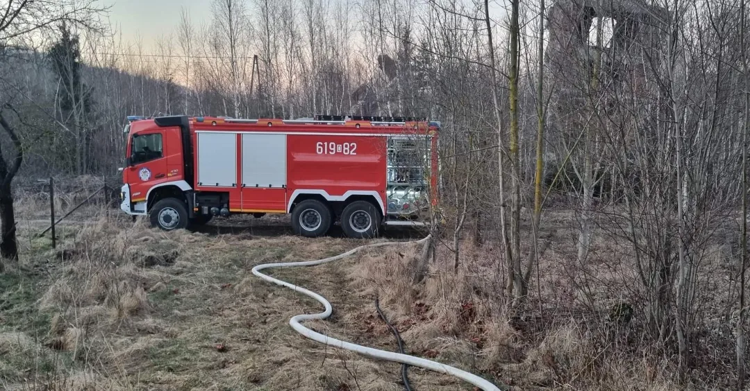 Pożar nieużytków w Wojcieszowie  - OSP Swieriawa